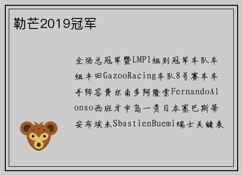 勒芒2019冠军